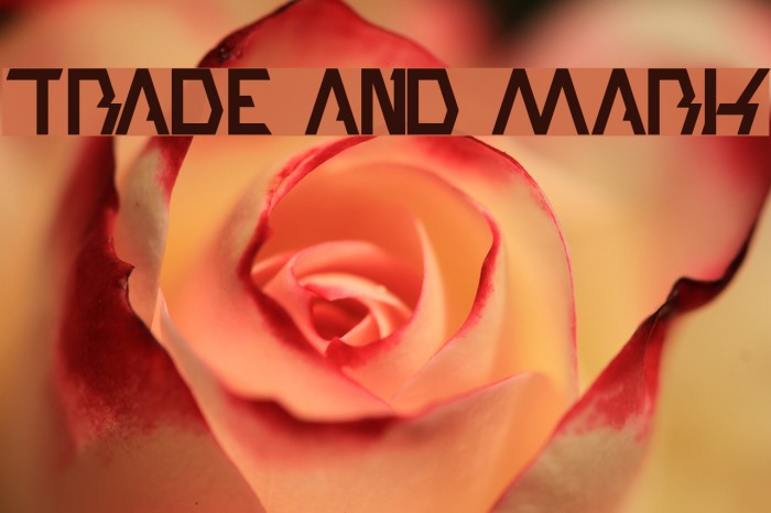 trade and mark Font examples