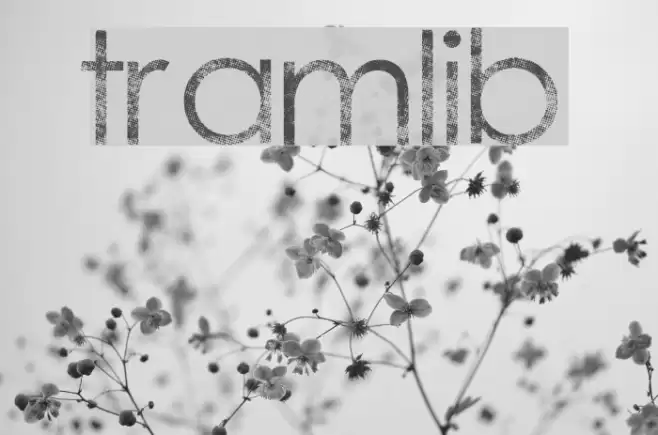 tramlib Font examples