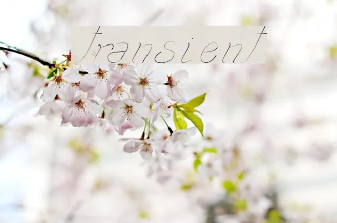 transient1 Example 1