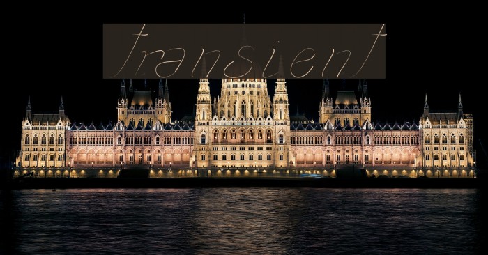 transient1 Font examples