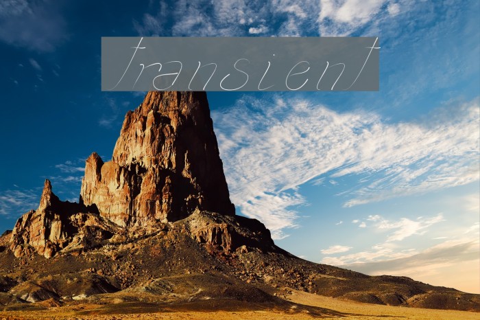 transient1 Font examples