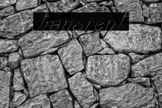 transient1 Font examples