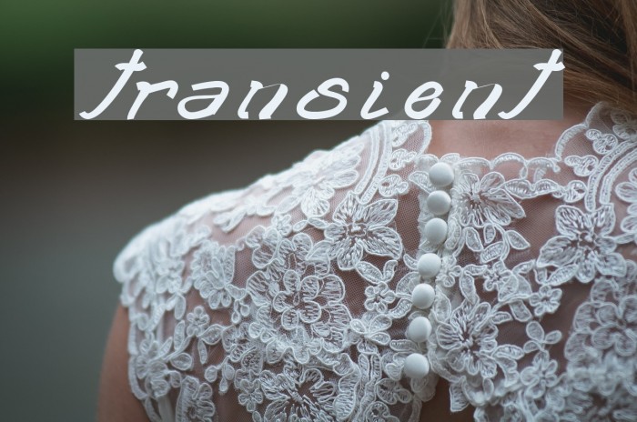 transient2 Font examples