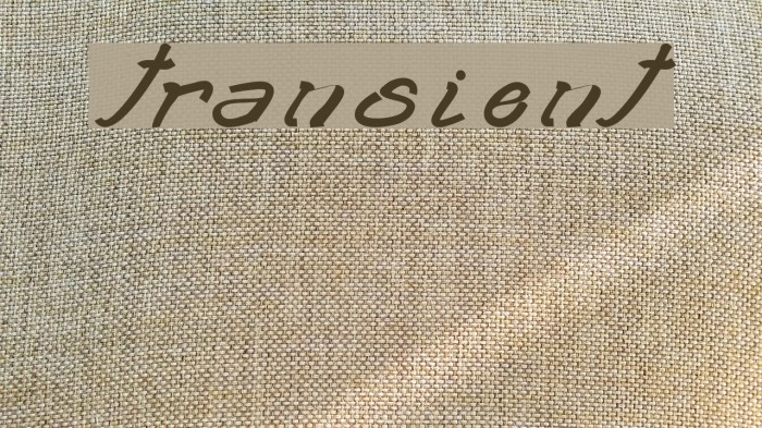 transient2 Font examples