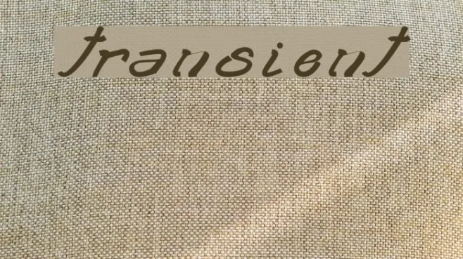 transient2 Example 2