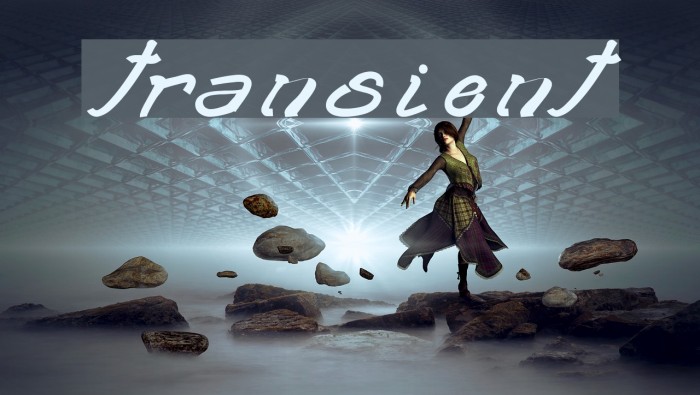 transient2 Font examples