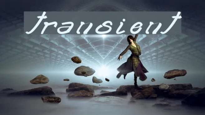 transient2 Example 3