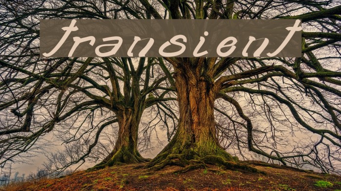 transient2 Example 1