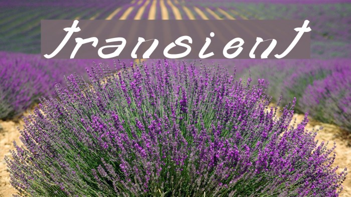 transient2 Example 2