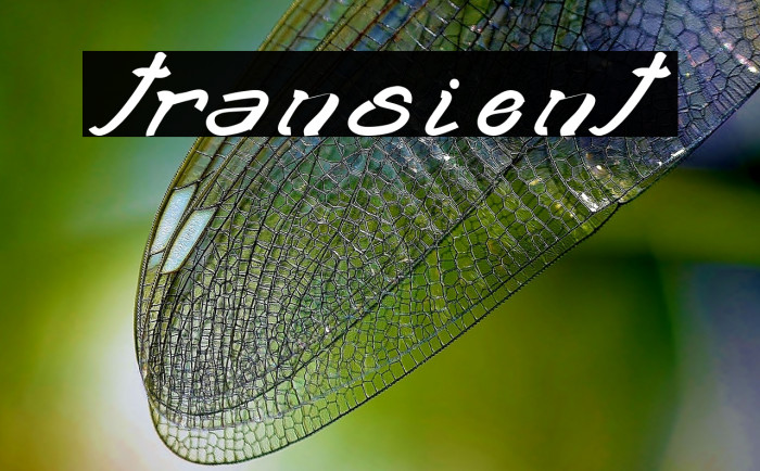 transient2 Example 1