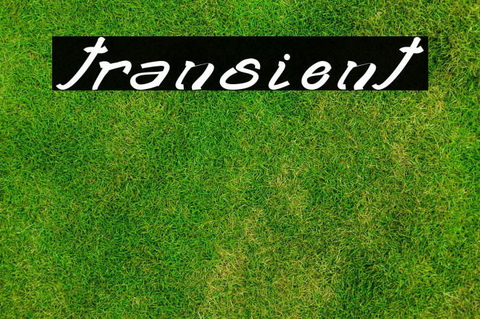 transient2 Example 2