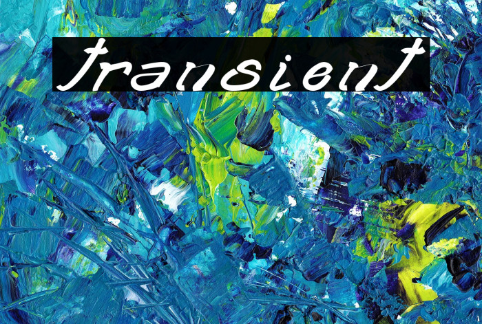 transient2 Example 3