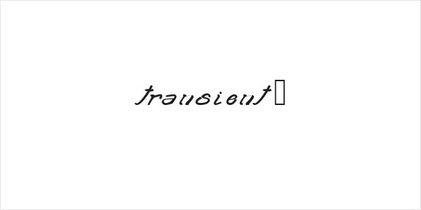 transient2 Logo