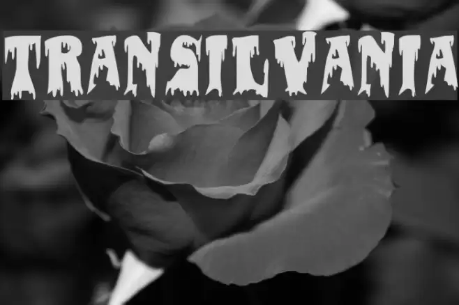 transilvania Font examples
