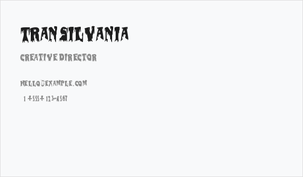 transilvania Business Card