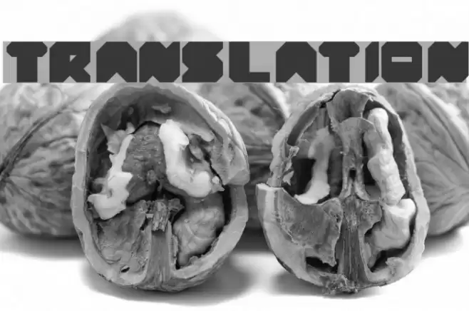 translation Font examples