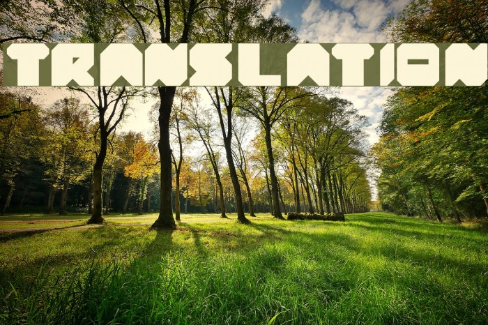 translation Font examples
