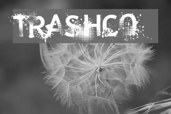 trashco Font examples
