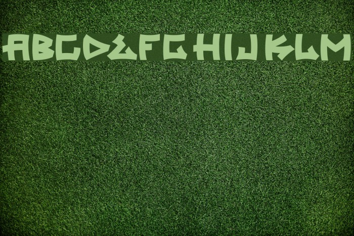 trasher 2 Font examples