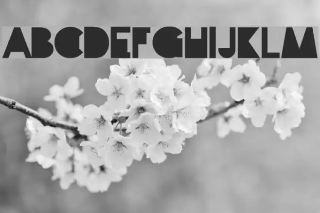 travellers Font examples