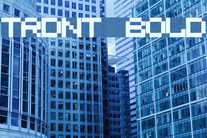 trdnt Bold Font examples