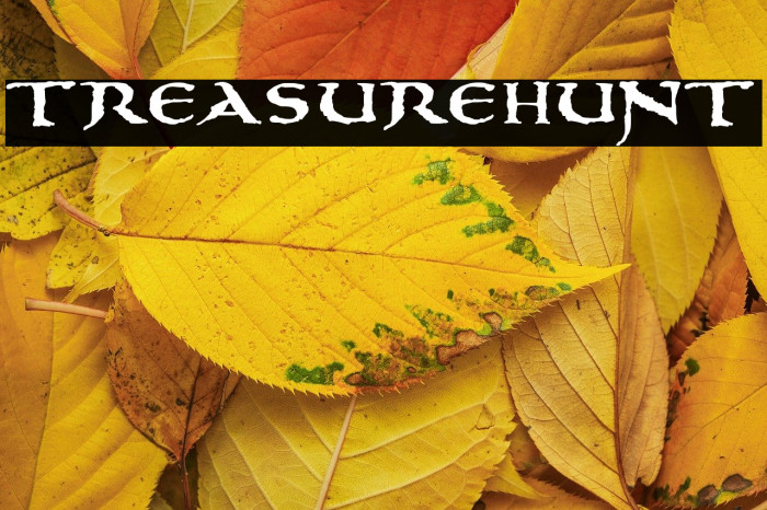 treasurehunt Example 2