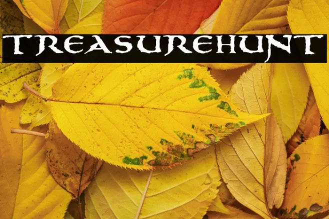 treasurehunt Example 2