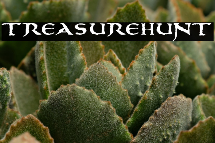 treasurehunt Example 3