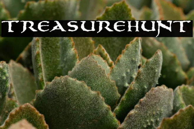 treasurehunt Example 3