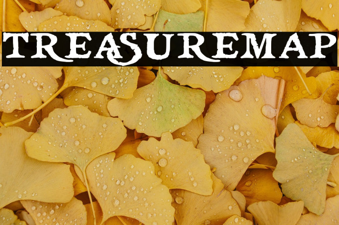 treasuremap Example 2