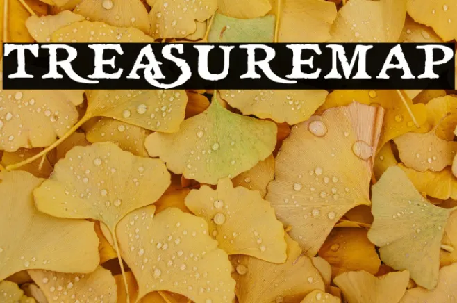 treasuremap Example 2
