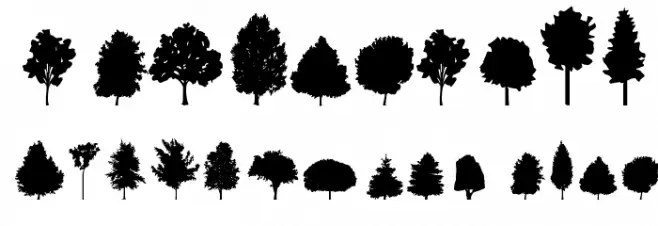 trees TFB Шрифта ДРУГИЕ символов