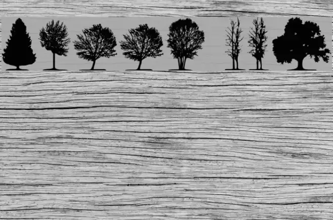 trees TFB Шрифта examples