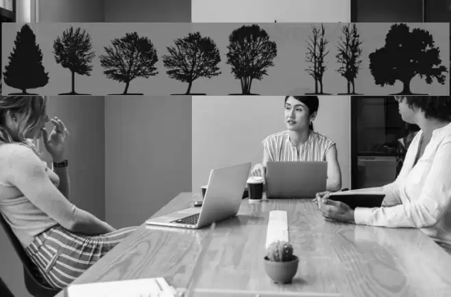 trees TFB Шрифта examples