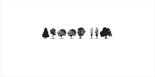 trees TFB Logo