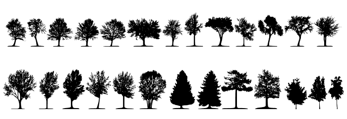 trees TFB Шрифта строчной