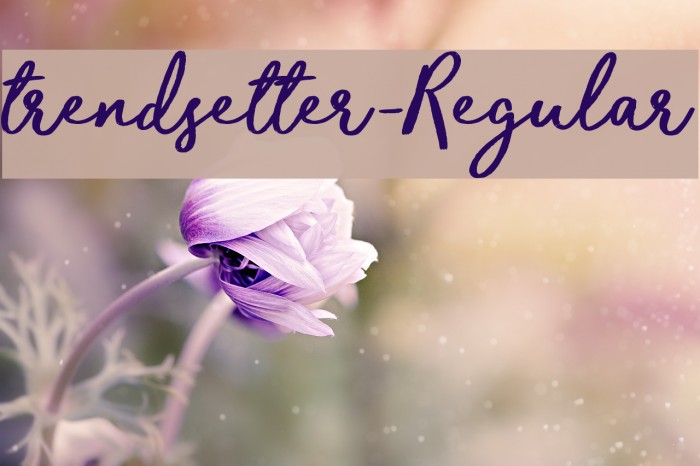 trendsetter-Regular Font examples