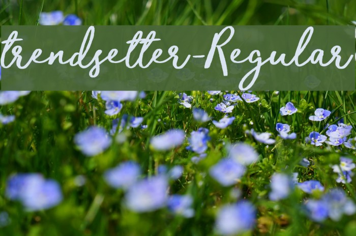 trendsetter-Regular Font examples