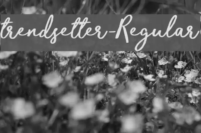 trendsetter-Regular Font examples