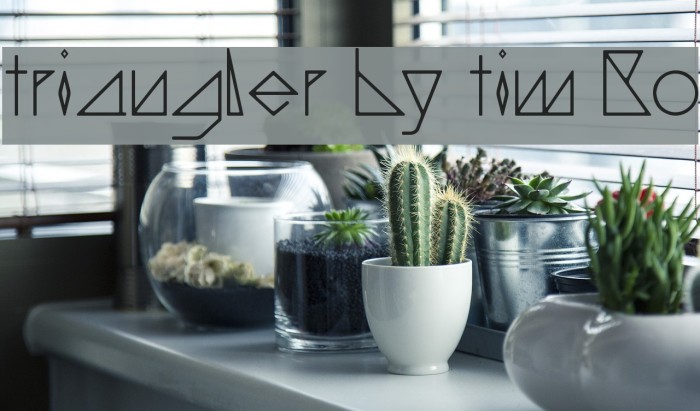 triangler by tim ko Example 3