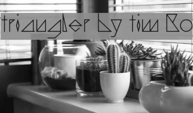 triangler by tim ko Font examples