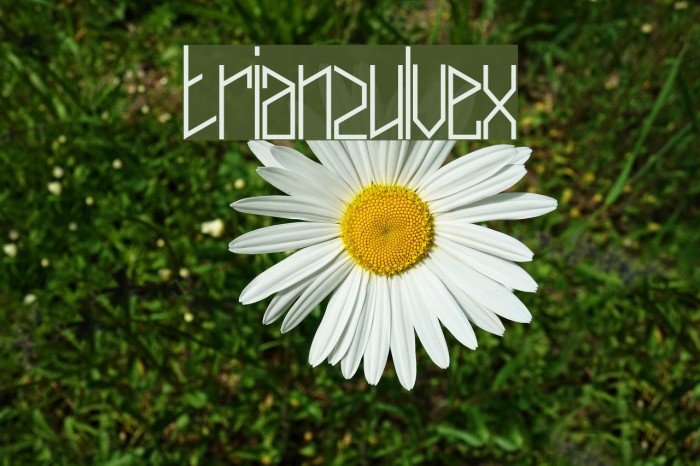 trianzulvex Example 2