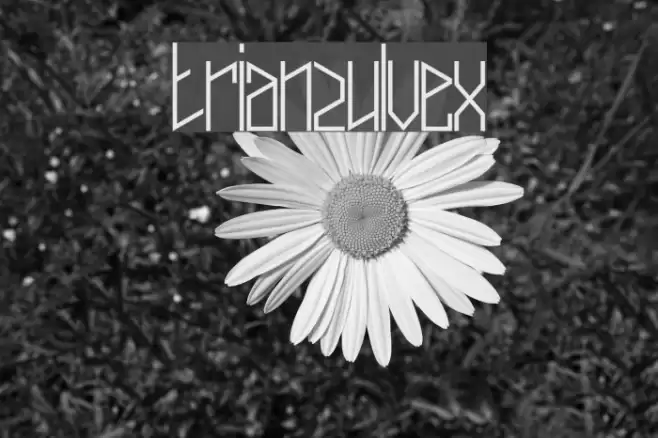 trianzulvex Font examples