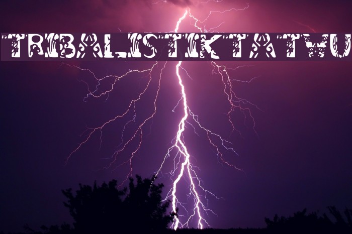 tribalistiktatwu Example 2