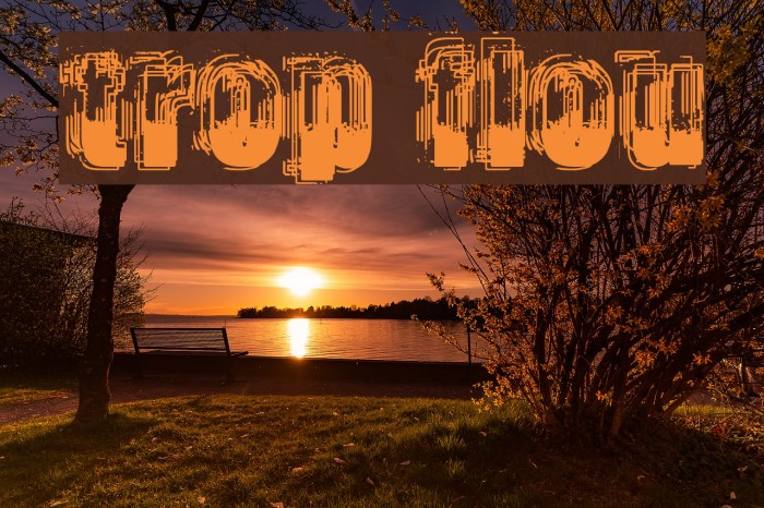 trop flou Font examples