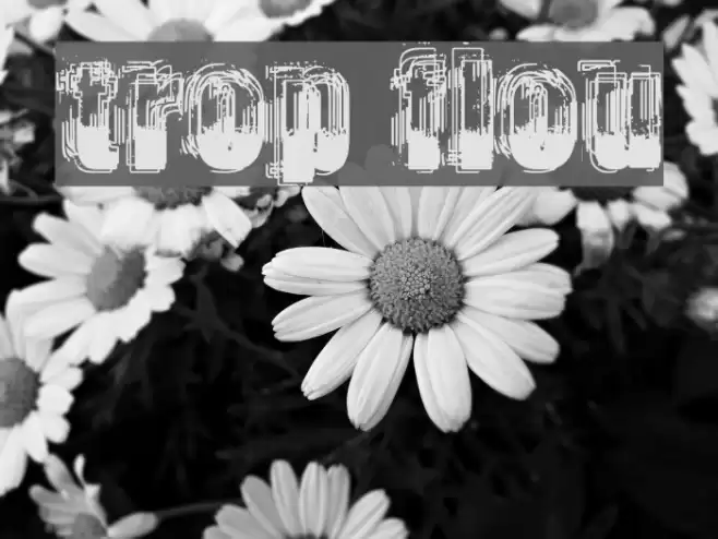 trop flou Font examples