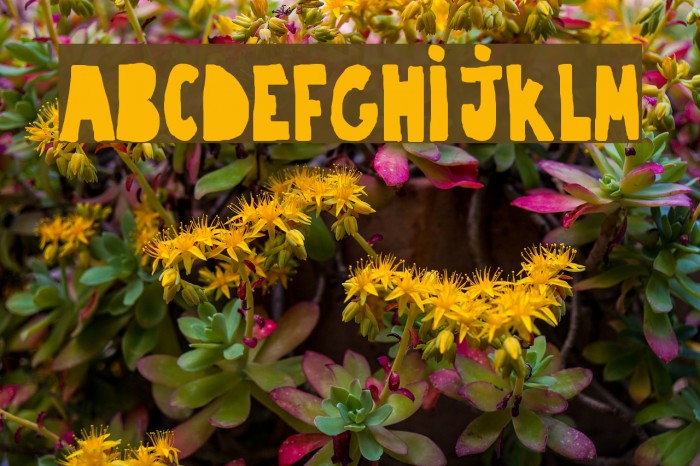 trouble-closebold Font examples