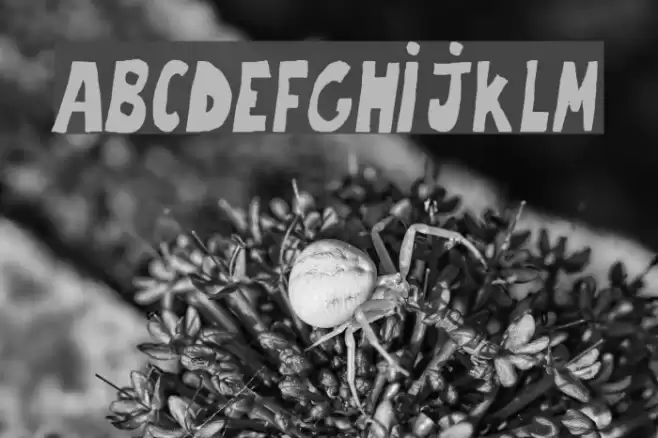 trouble-italique Font examples