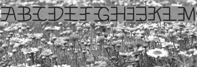 trouverlecode Font examples