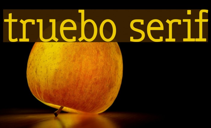 truebo serif Font examples